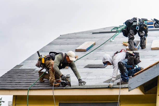 Professional Roofing technician working in Leonard, TX